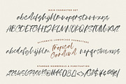 Tropical Garden, a Handwritten Font by Papermode Co. (Thumbnail 5 of 7)