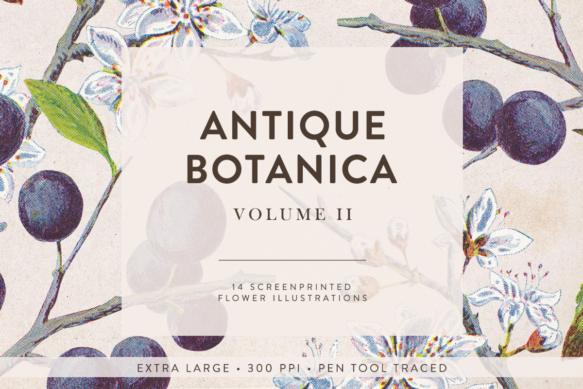 Vintage Flowers Vol.02 - Extra Large, an Illustration by Greta Ivy (Photo 1 of 16)