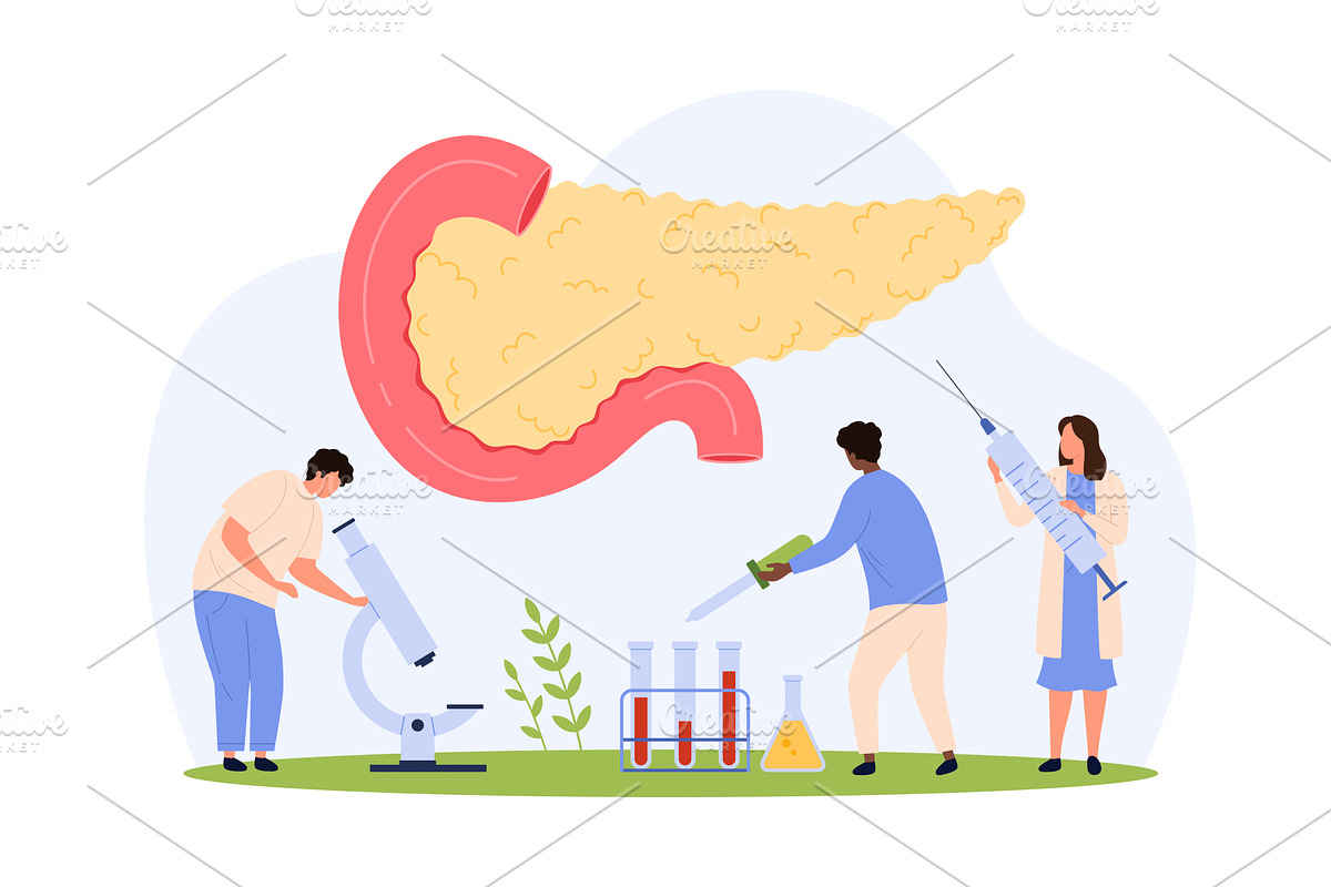Pancreas health, tiny people check, an Object Illustration by Flashvector