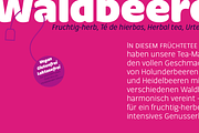 Condell Bio, a Sans Serif Font by Letritas (Thumbnail 6 of 14)