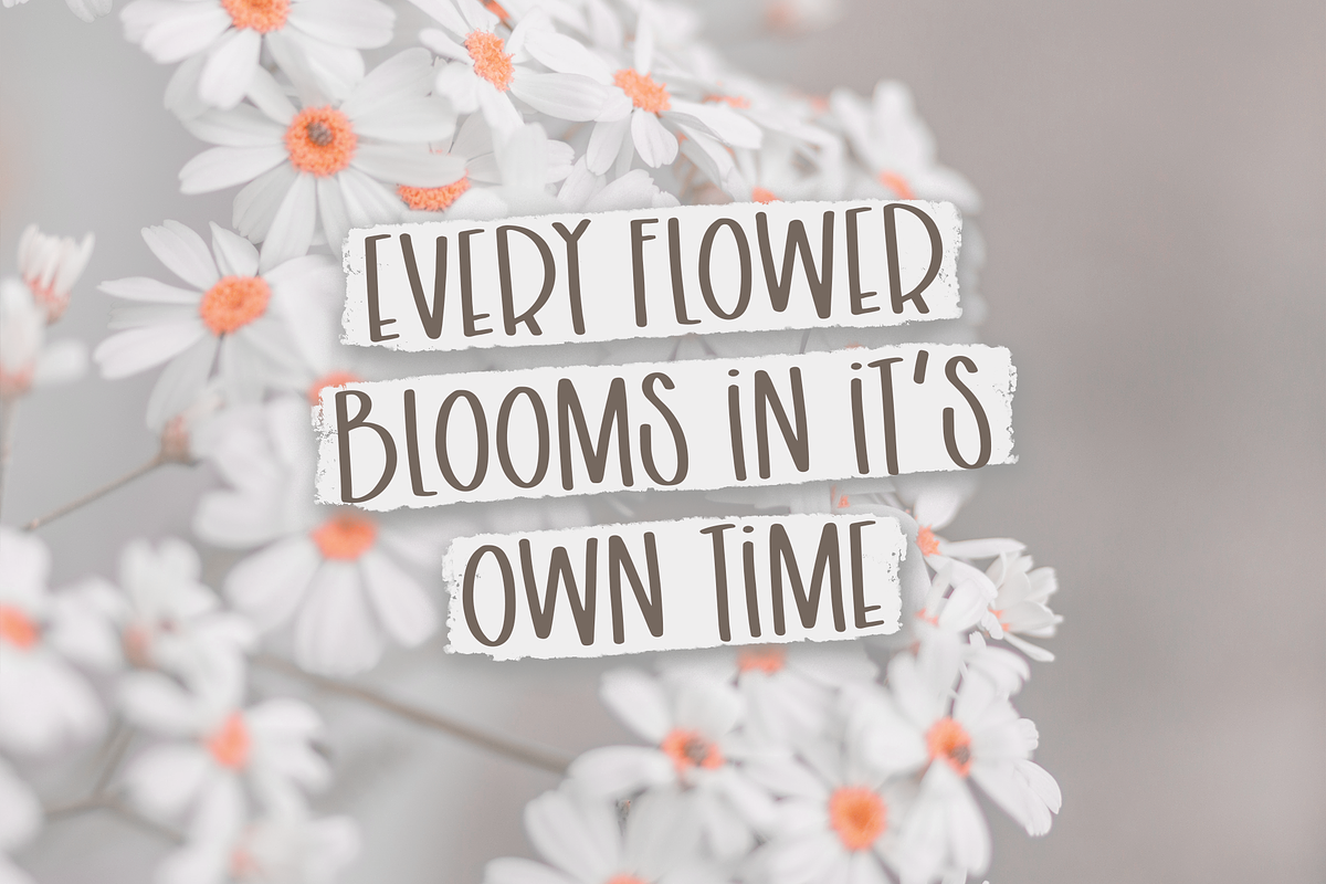 Capital Font Bundle, 8 fonts, a Script Font by Rachel White Art (Photo 15 of 17)