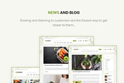 Leo Efway - Organic Fresh Food Mart, a Websites & App Template by apollotheme (Thumbnail 3 of 14)
