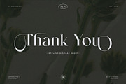 Mending – Stylish Display Serif Font, a Serif Font by BrandSemut (Thumbnail 10 of 10)
