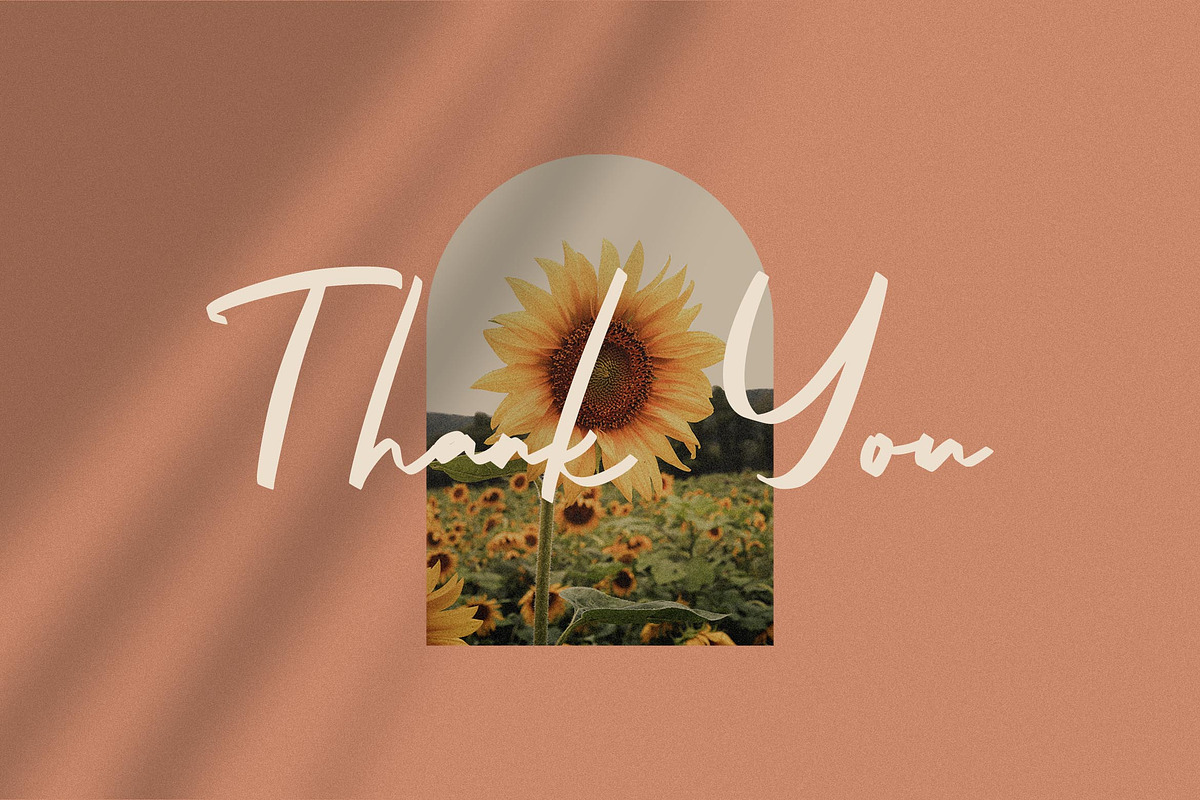 Aster Sphin - Script Font, a Script Font by Krakenbox Studio (Photo 11 of 11)