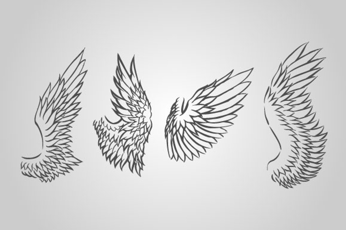 15 Wing Illustrations (Vector), an Animal Illustration by BIOWORKZ (Photo 5 of 5)