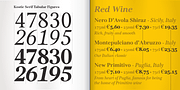Kostic Serif, a Serif Font by Kostic Type Foundry (Thumbnail 1 of 9)