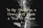 Rawon Elegant Serif Font, a Serif Font by Graphicxell (Thumbnail 5 of 8)