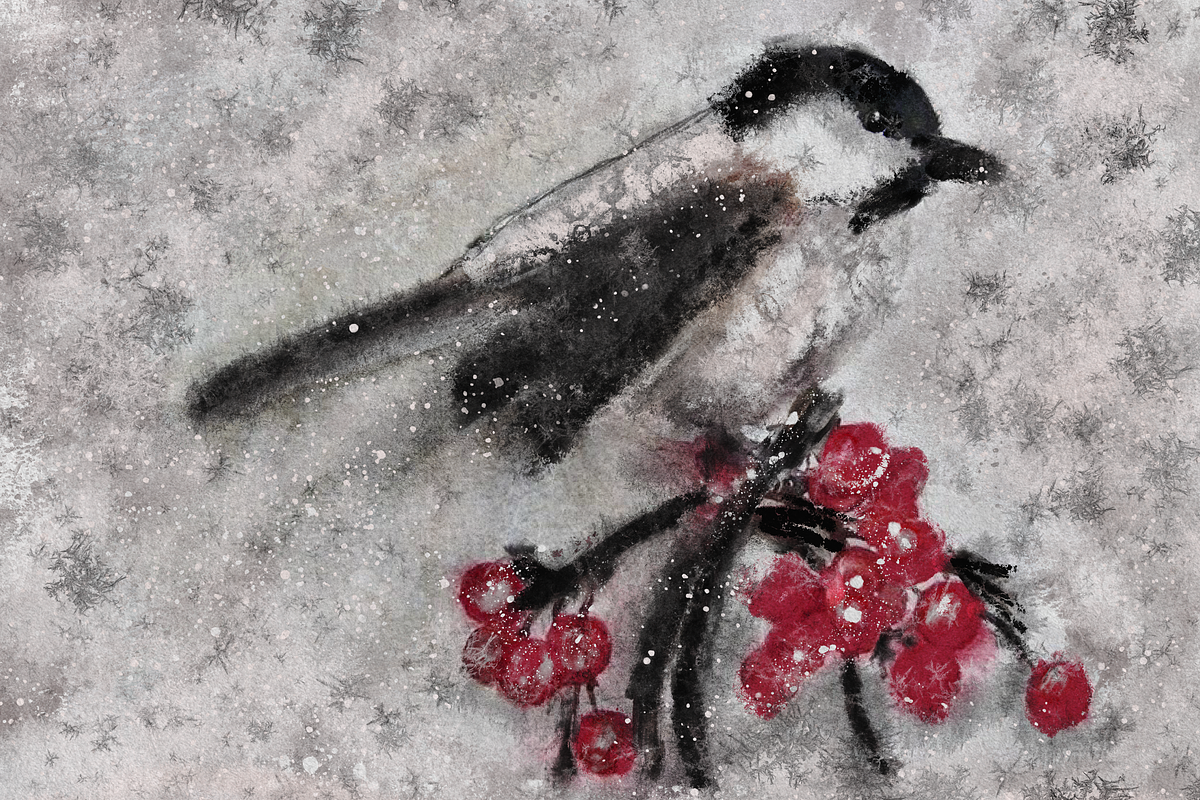 Procreate Niveus Winter Artistry, a Brush Add-On by Brush Moment (Photo 6 of 13)