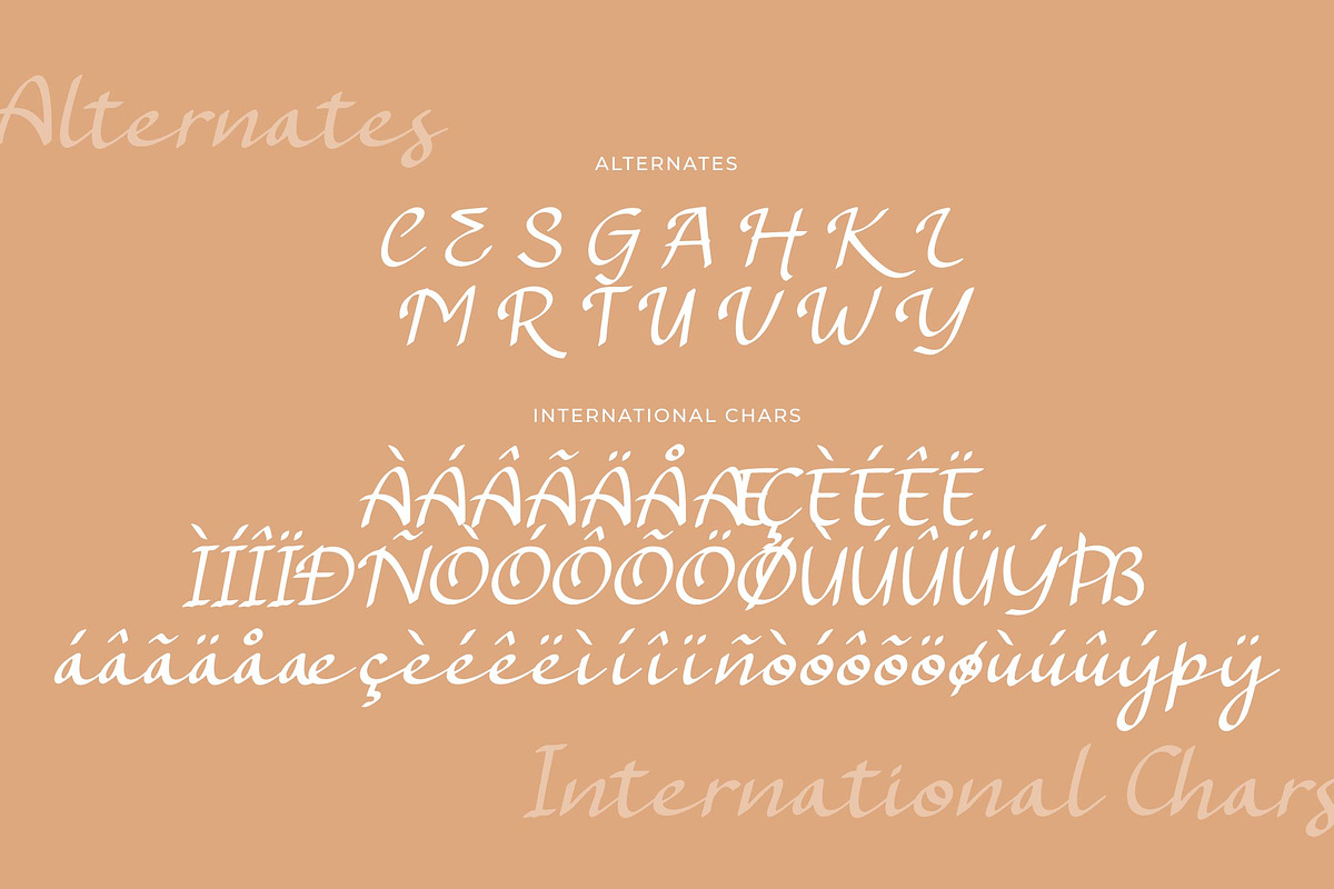 Kaseylum Script Font, a Script Font by Denustudios (Photo 13 of 14)