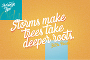 Sharpeye Type, a Script Font by Liviu (Thumbnail 5 of 5)
