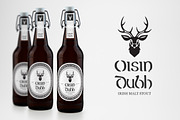 Erin - A Mystical Celtic Typeface, a Font by Twinbrush (Thumbnail 2 of 3)