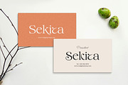 Vestige Harmony, a Serif Font by Attract Studio (Thumbnail 7 of 14)