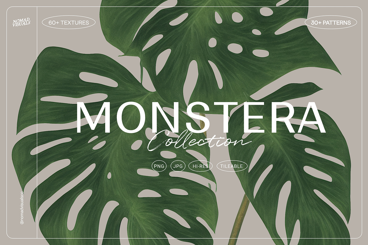 Illustration Bundle - 6580+ elements, a Texture Illustration by Nomad Visuals (Photo 13 of 32)
