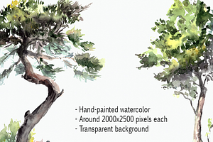 Watercolor Trees Clip Art Set