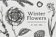 Winter Flowers Christmas Collection, a Seasonal Illustration by Yevheniia (Thumbnail 1 of 12)