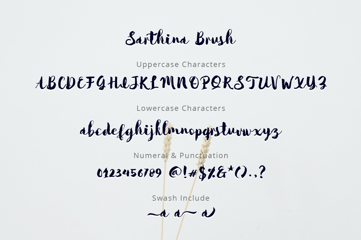 Sarthina Brush Font, a Handwritten Font by Siwox Studios (Photo 6 of 6)