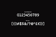 Carcosa Typeface, a Serif Font by Tugcu Design Co. (Thumbnail 2 of 3)