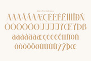 Evaida, a Serif Font by Kenrichi (Thumbnail 4 of 11)