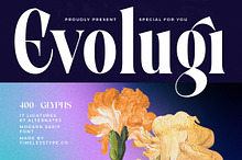 Evolugi Modern Luxury Serif Font