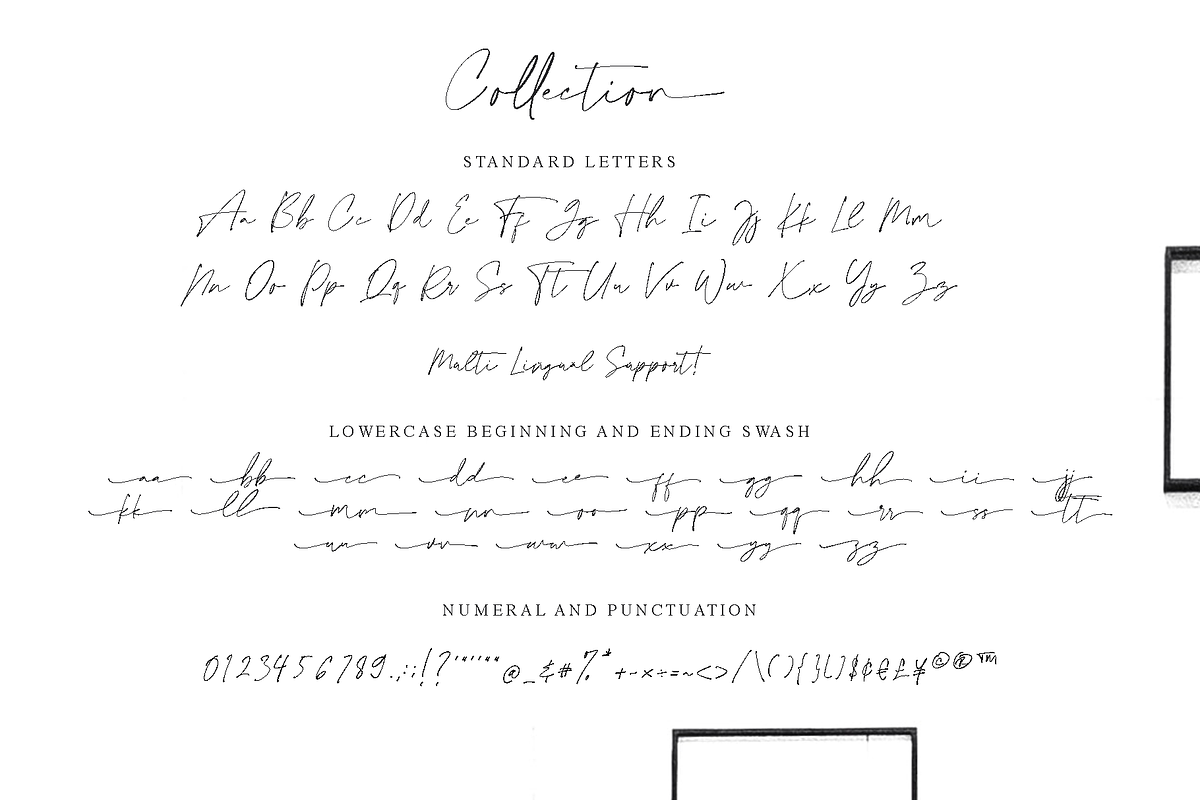Collection - NEW STYLE, a Script Font by alphArtype (Photo 15 of 16)