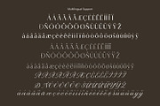 Macline Luxury clean elegant pairing, a Script Font by WhymoreArt (Thumbnail 10 of 10)