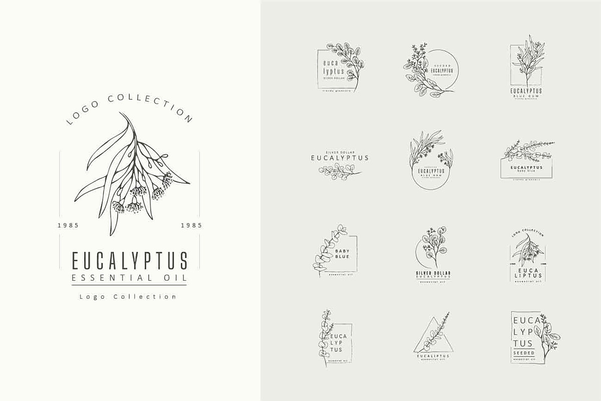 76 Floral premade logos, a Branding & Logo Template by Merfin (Photo 4 of 10)