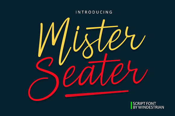 Mister Seater | Script Font preview 7