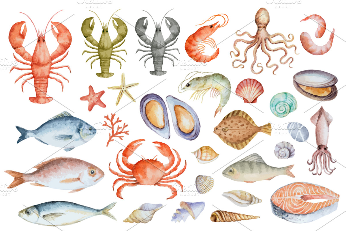Watercolor seafood collection., a Food Illustration by Elena Medvedeva (Photo 2 of 5)