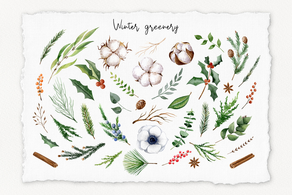 3 in 1 Zero Waste BUNDLE, a Decorative Illustration by Natalia Fedorova (Photo 23 of 31)