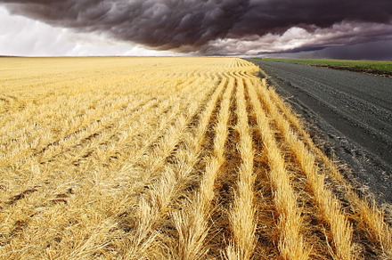 The rural road to fields, a Photo by kavram