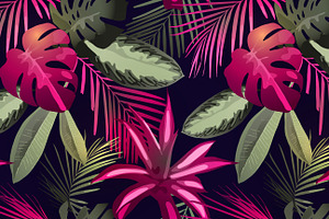 Tropical Patterns & Set VECTOR