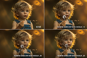 15 Blowing Dandelion Overlays