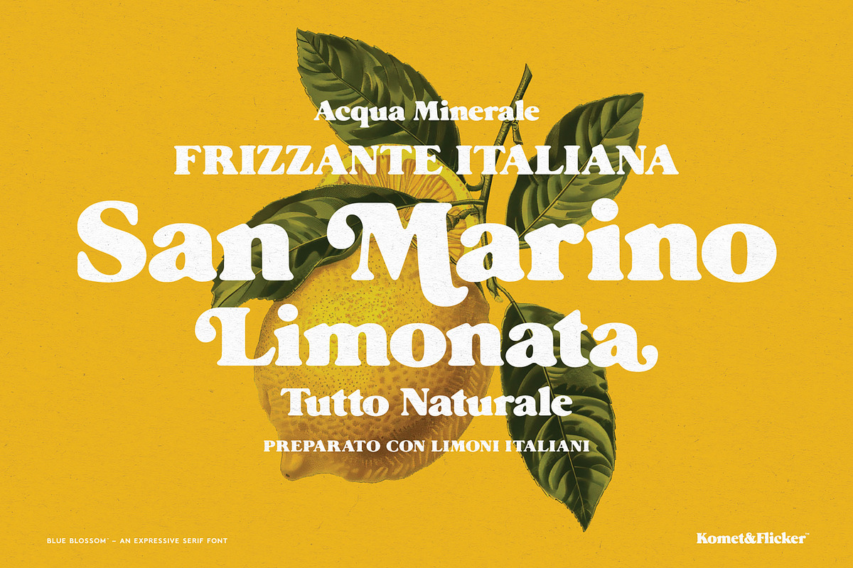 Blue Blossom - An Expressive Font, a Serif Font by Komet & Flicker (Photo 2 of 15)
