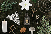 Witch's Magic Garden Collage Kit, an Object Illustration by Vicccky (Thumbnail 6 of 9)