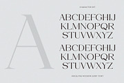 Angelyne - Modern Serif Font, a Serif Font by Muflieart (Thumbnail 9 of 10)