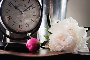 Time & Peonies