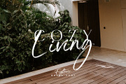 Fightever, a Script Font by Ditatype (Thumbnail 4 of 10)
