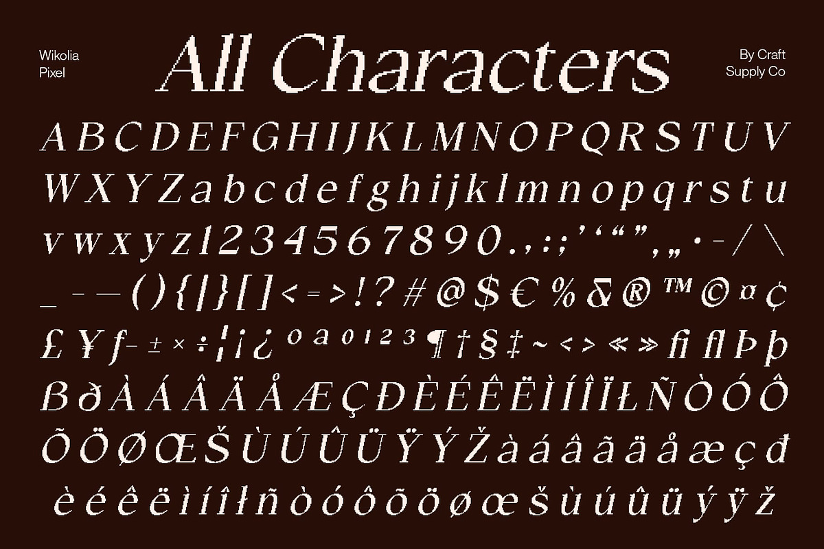 Wikolia Pixel, a Serif Font by Craft Supply Co. (Photo 8 of 8)