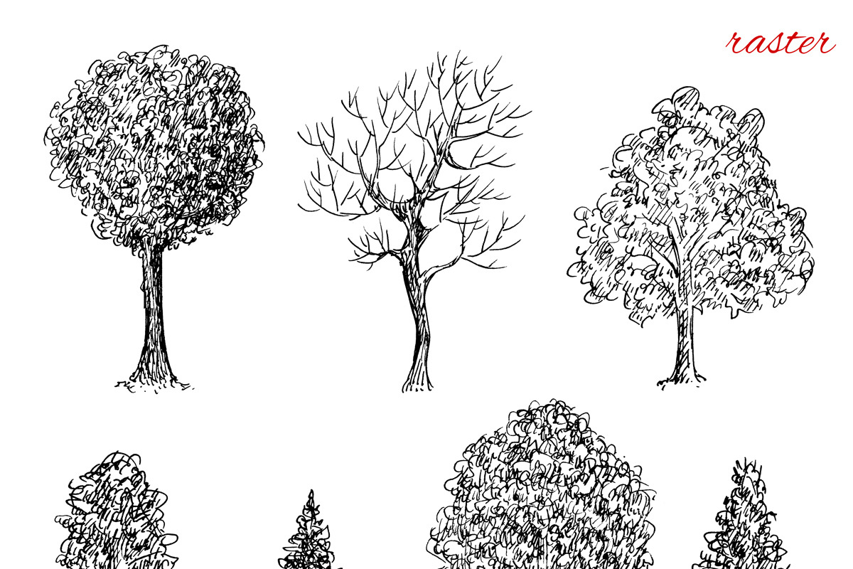Hand Drawn Trees, an Object Graphic by Eugenia Hauss Design (Photo 2 of 3)