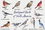 Backyard Birds of North America, an Animal Illustration by FITALARTSNEDIGI (Thumbnail 3 of 8)