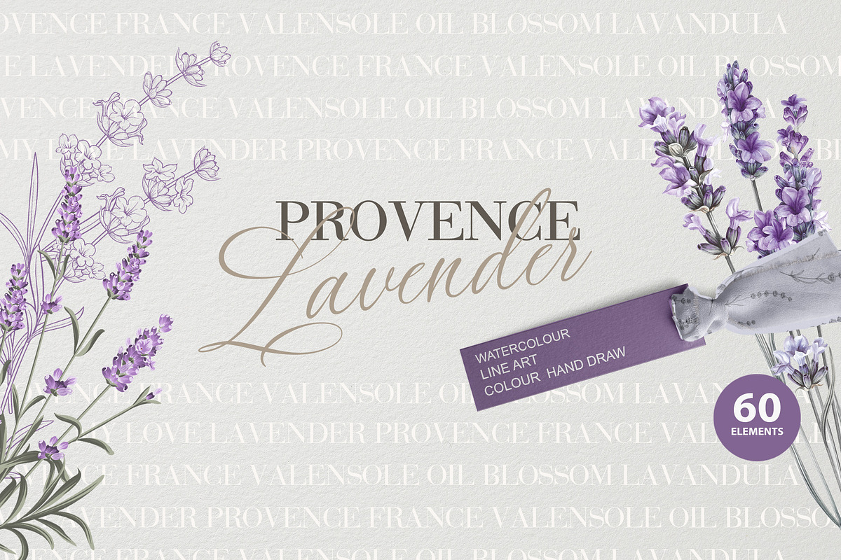 Provence Lavender. Flower set., a Pattern Graphic by Kotkoa (Photo 6 of 8)