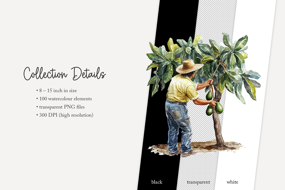 100 avocado clip art, a Food Illustration by Poppy Lane Studio (Photo 12 of 12)