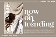 Dalime Stylish Modern Serif Font, a Serif Font by Storytype Studio (Thumbnail 8 of 15)