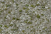 Seamless Ground Texture-Stone Ground, a Texture Graphic by Arthitecture Home (Thumbnail 2 of 11)
