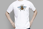 Set of insects, an Animal Illustration by IPVector (Thumbnail 3 of 6)