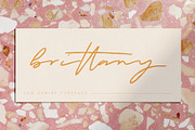 Brittany | Brush Display Font, a Handwritten Font by Monterey Studio (Thumbnail 1 of 8)