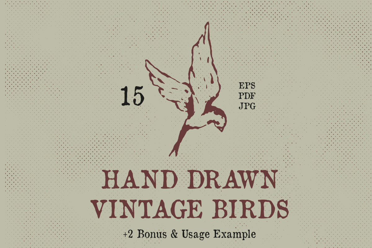 Hand Drawn Vintage Birds, an Object Graphic by danielcomerci (Photo 1 of 3)