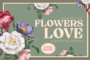 Malfino Olstd - Serif, a Serif Font by Olexstudio (Thumbnail 3 of 8)