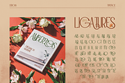 Strova, a Sans Serif Font by Burntilldead (Thumbnail 4 of 12)
