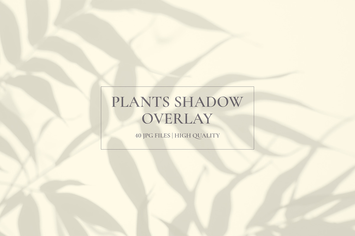 Plants Shadow Overlay, a Background Graphic by M9 Design (Photo 3 of 11)